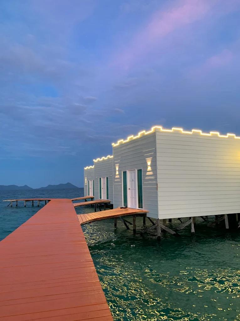 Sustainable Luxury