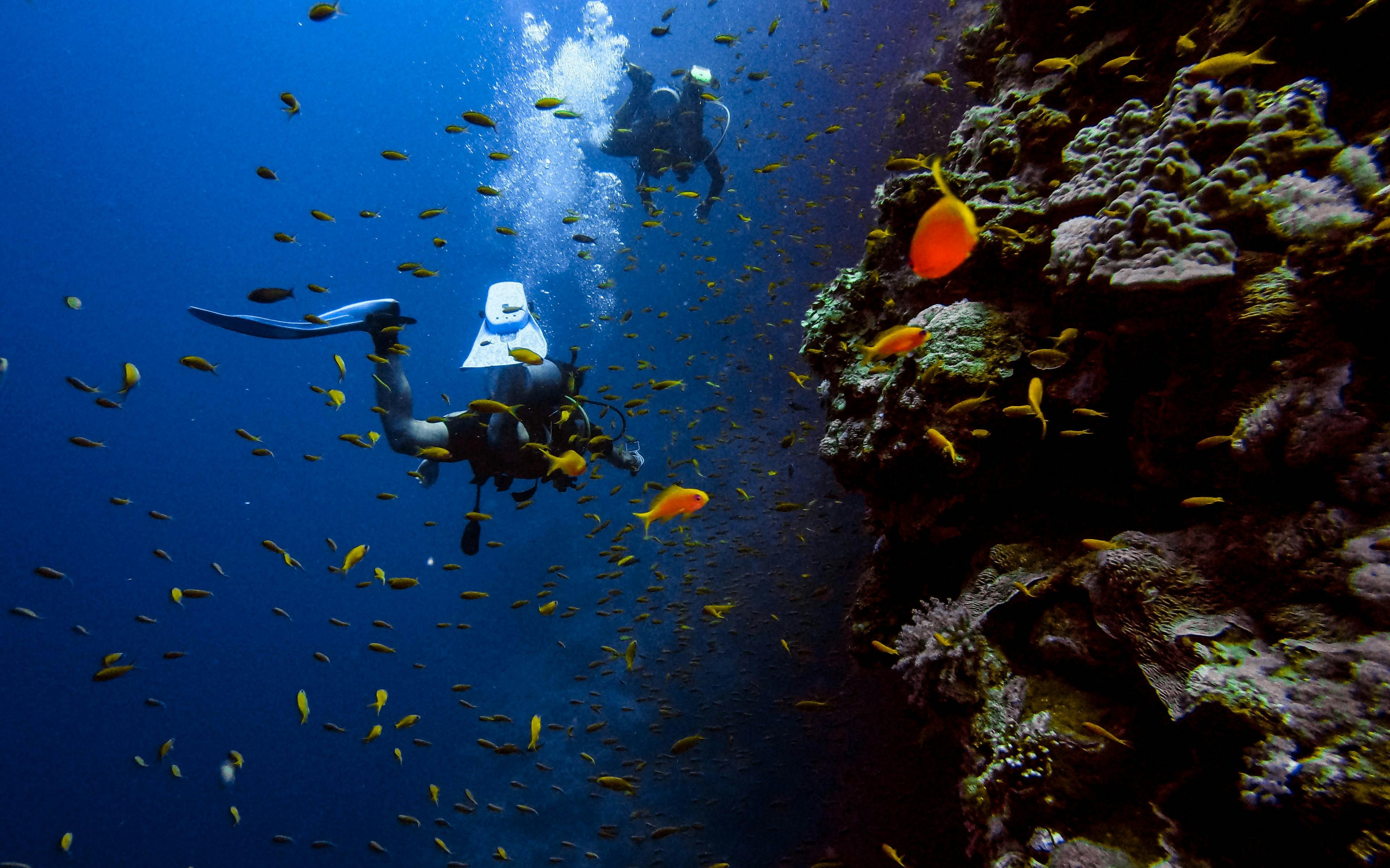 Scuba Diving Discovery